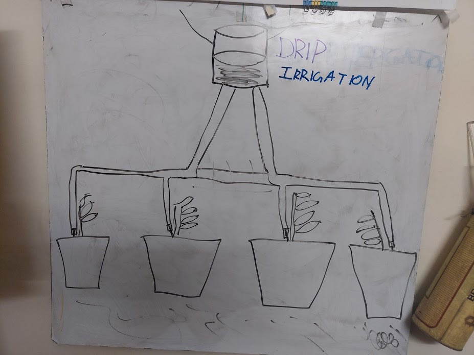 Drip Irrigation System