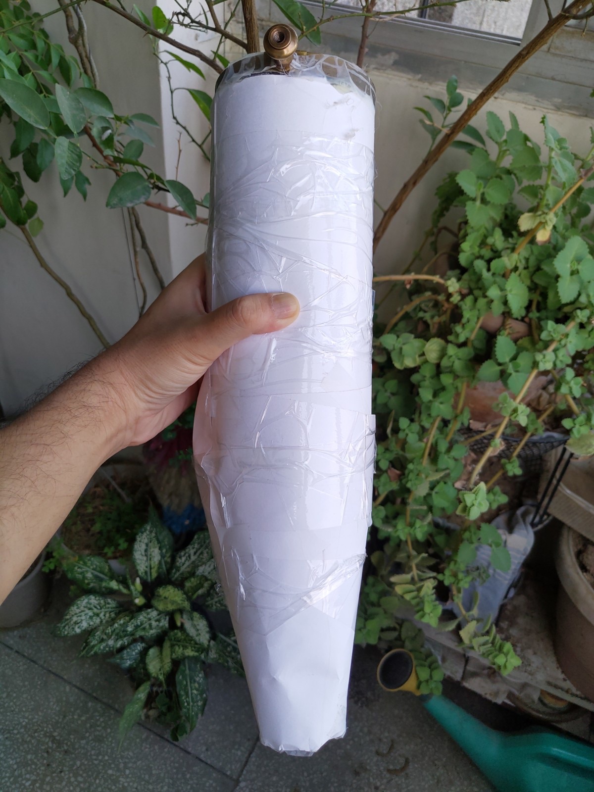 815FA6AC-EF2A-45A2-BDD9-B59240F04890