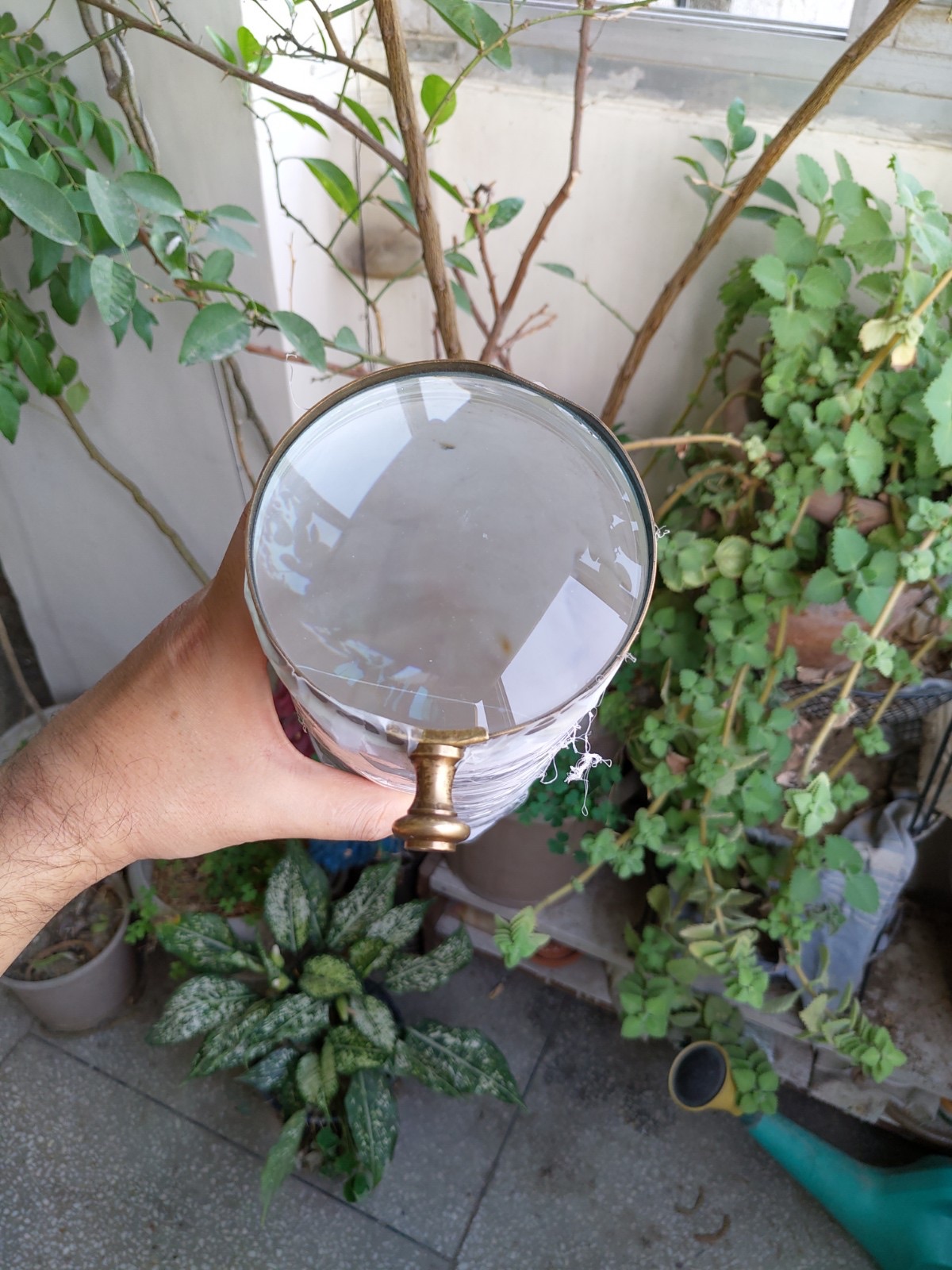 CF9FB2A7-F2DD-4B5F-80E9-0C986F1A72FA