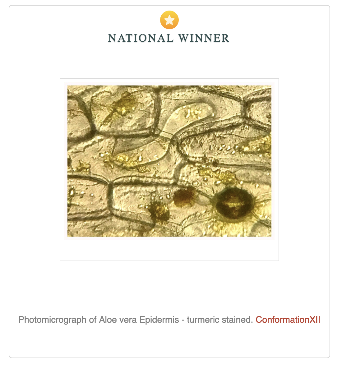 National Winner - Wiki Science Competition 2025