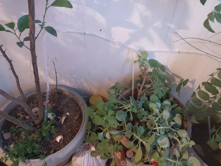 drip-irrigation-05