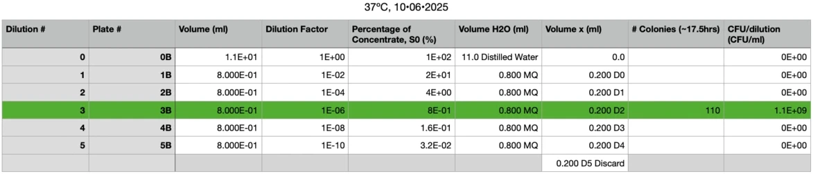 internship-dbeb-iitd-08-cfu-count-performed-p3b-37