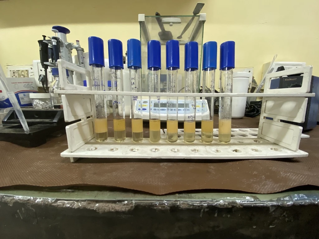 internship-dbeb-iitd-09-tubes-vortexing-left
