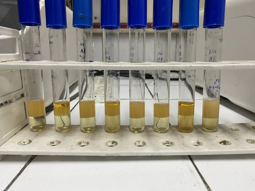 internship-dbeb-iitd-10-tubes-standing-66-hours