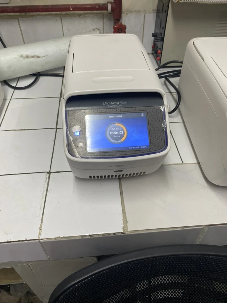 internship-dbeb-iitd-13-hour-pcr-cycle-running