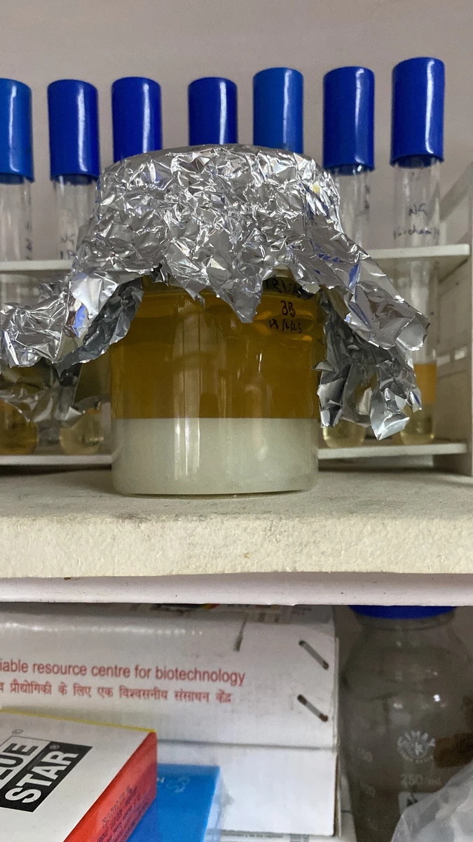 internship-dbeb-iitd-18-solvent-extraction-bottom