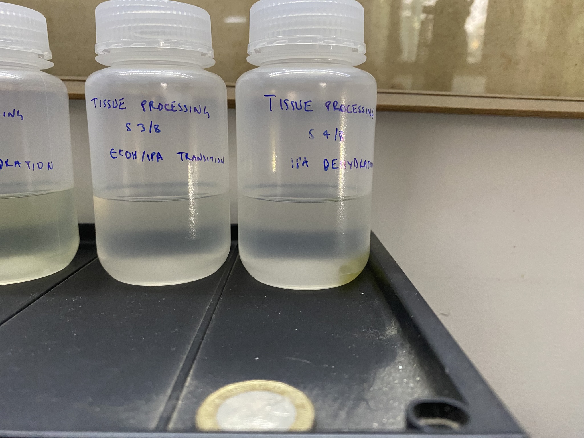 plant-tissue-processing-03-stage-4-8-ipa-etoh