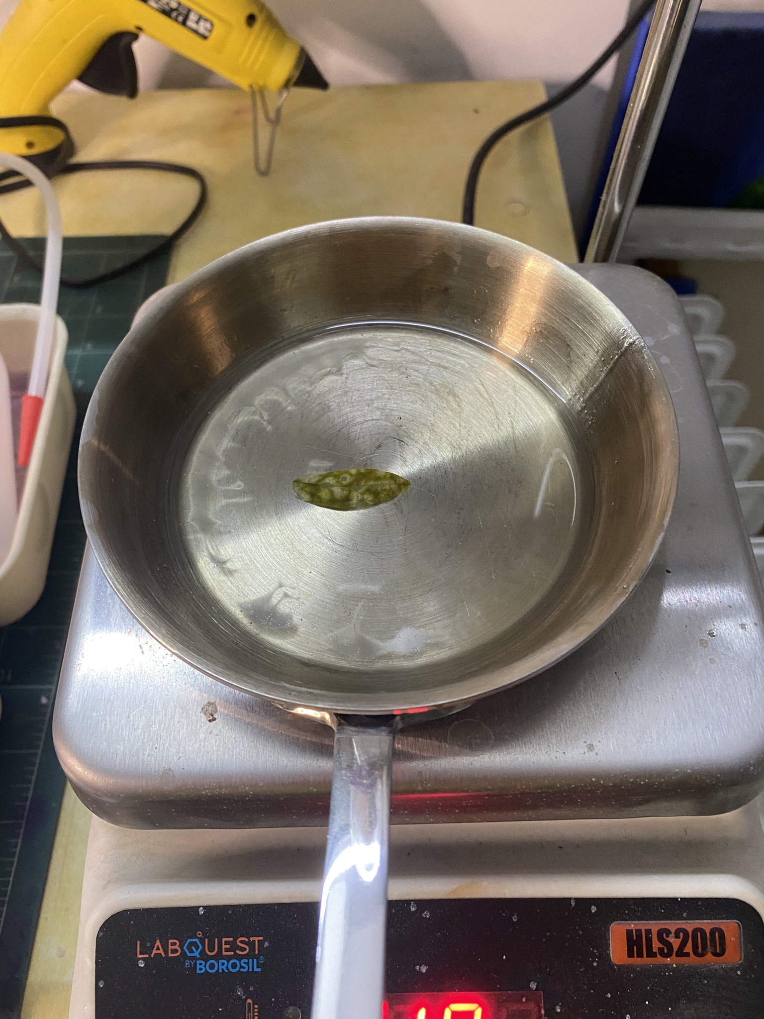 plant-tissue-processing-05-stage-7-8-infiltration