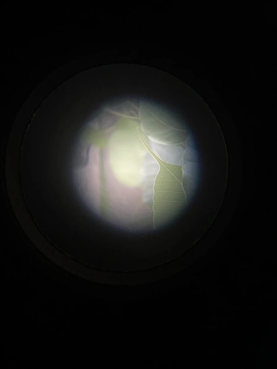 telescopes-19-view-through-gravity-image
