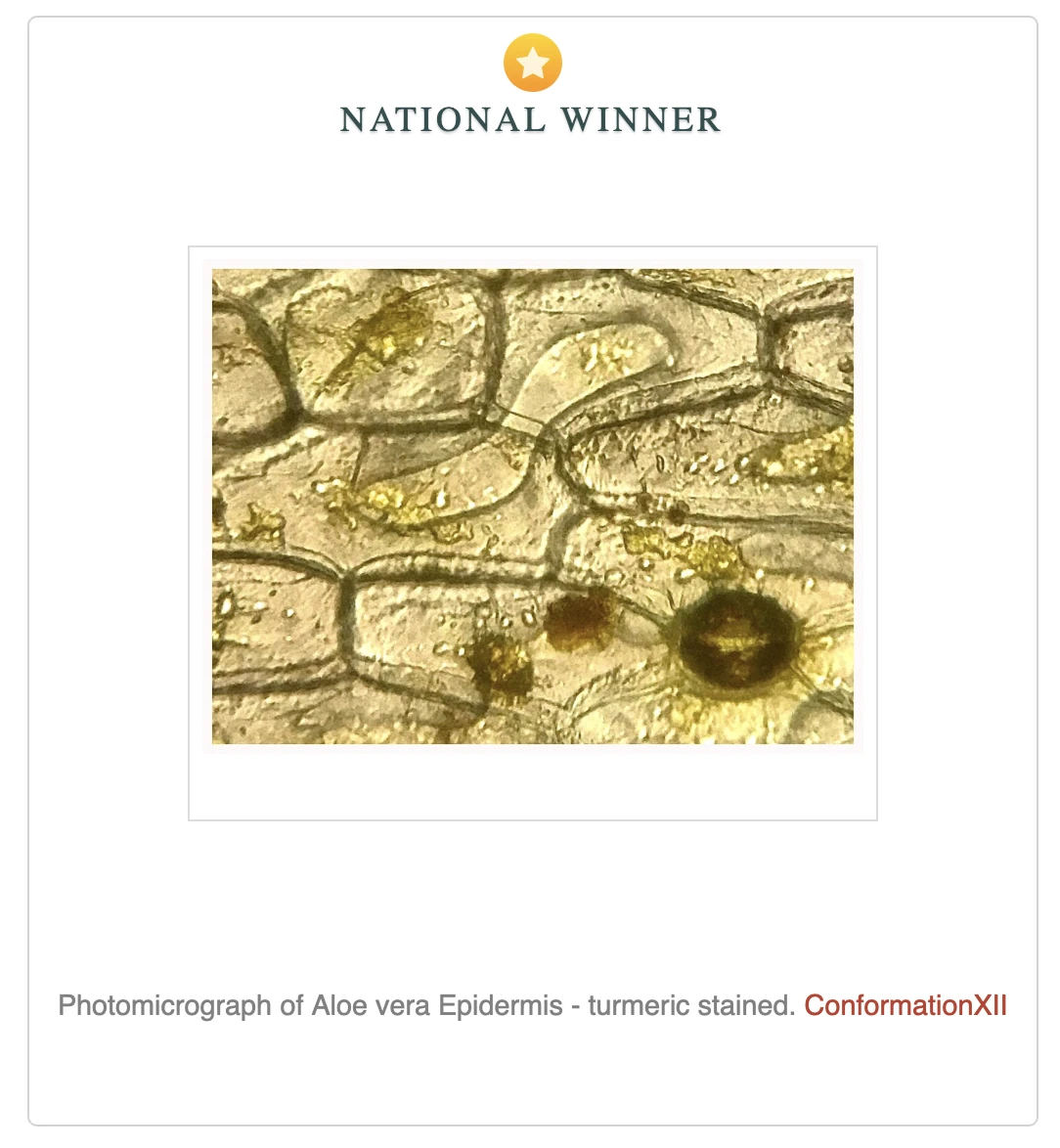 wiki-science-competition-02